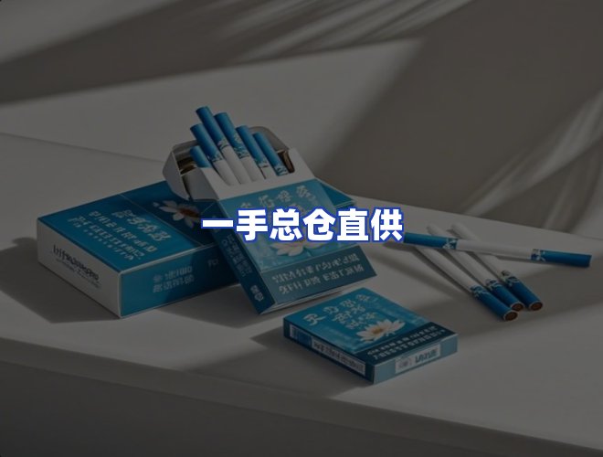 专业团队